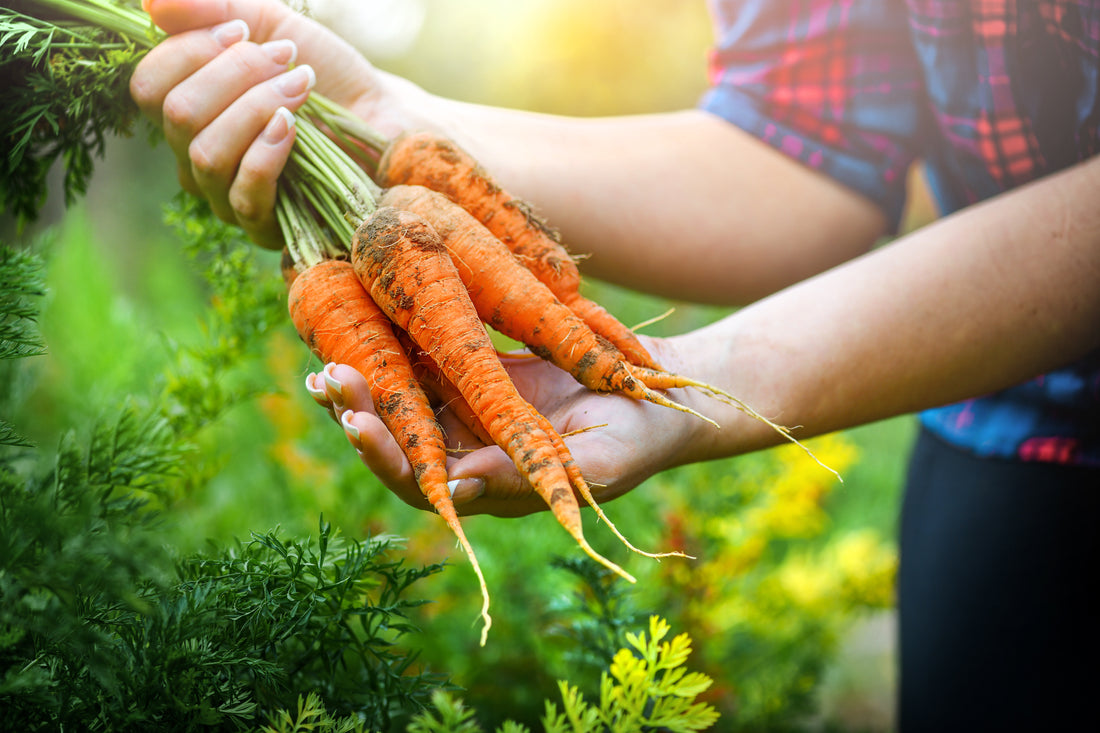 Stock up on Vegetables for Spring